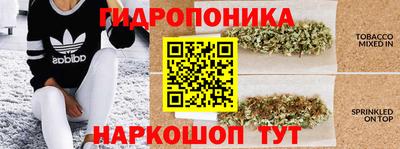 мяу мяу мука Берёзовский