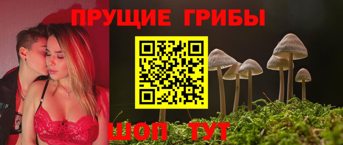 Галлюциногенные грибы Magic Shrooms  Вход с VPN  Псилоцибиновые грибы ЛСД  Каменск-Уральский 